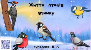 Життя птахів взимку