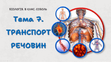 Тема 7. ТРАНСПОРТ РЕЧОВИН