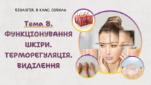 Тема 8. ФУНКЦІОНУВАННЯ ШКІРИ. ТЕРМОРЕГУЛЯЦІЯ. ВИДІЛЕННЯ