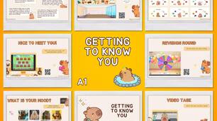 Getting to know you. First lesson A1
