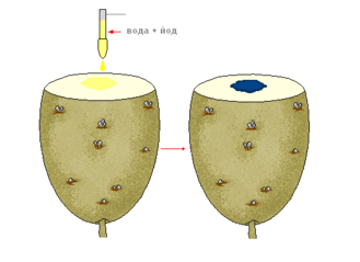 0900gve0-29cd-329x239.png