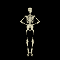 0900gx3b-6344-199x199.gif