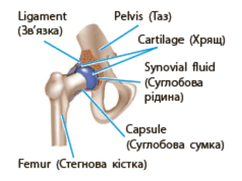 0900gxju-e55e-493x369.png