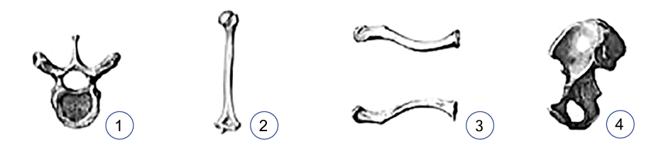 0900gy25-a766-938x220.png