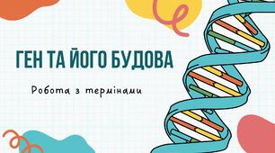 Ген та його будова (робота з термінами)