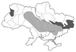 0900h4yy-ddf9-256x176.jpg