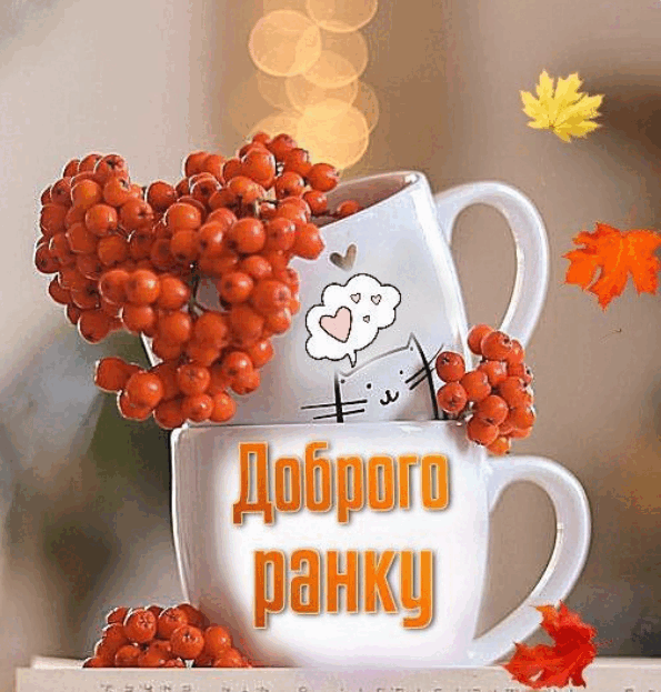0900h6dv-a536-595x623.png