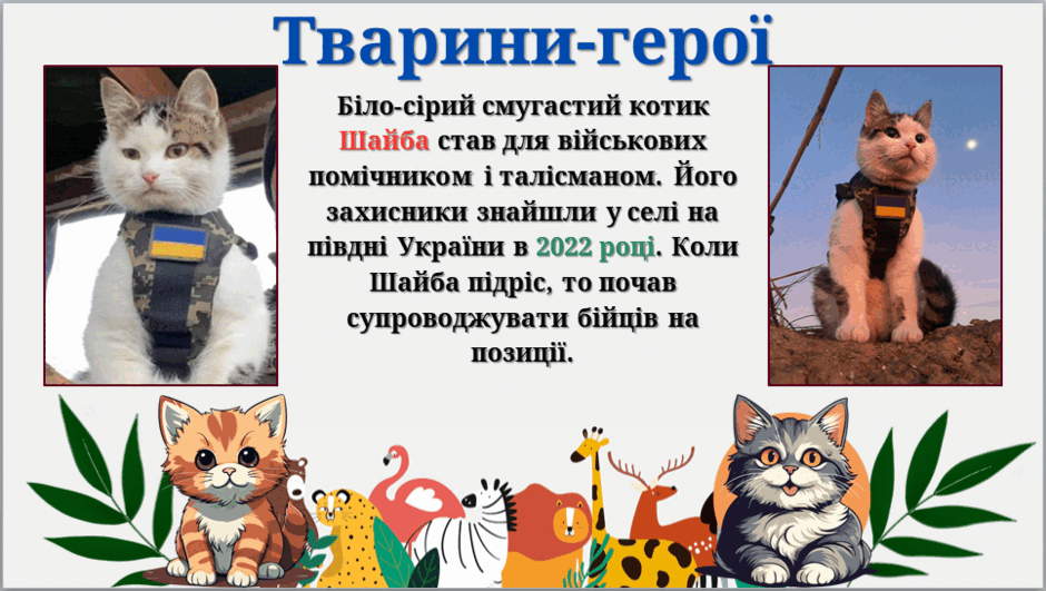 0900ha1n-feca-940x531.png