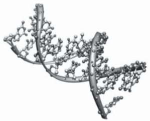 0900hcsg-2d4c-299x242.png