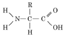 0900hest-60f9-225x128.png