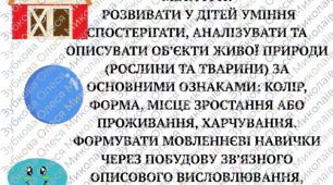 Дидактична гра "Опиши мене"