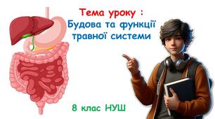 Презентація з біології "Будова та функції травної системи".  8 клас НУШ