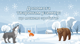 Допомога тваринам узимку: що можемо зробити?