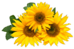 0900hn0c-0d80-104x69.png