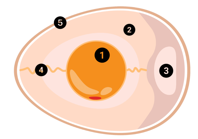 0900hnj4-a359-688x484.png