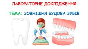 Презентація - Лабораторне дослідження: ЗОВНІШНЯ БУДОВА ЗУБІВ. ГР 1