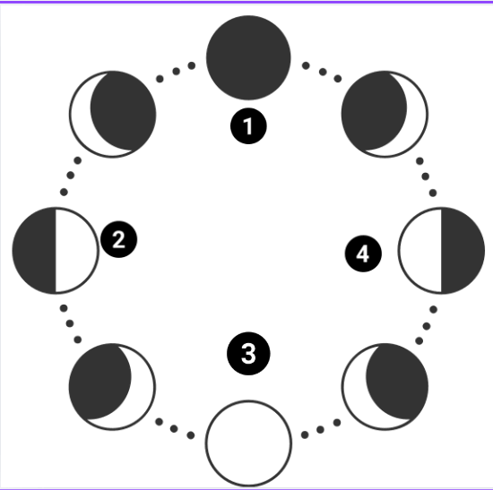 0900hnto-d47e-550x547.png