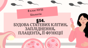 Презентація  до уроку  «§54 Будова статевих клітин. Запліднення. Плацента, її функції» 8клас НУШ