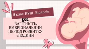 Презентація  до уроку  «§55. Вагітність. Ембріональний період розвитку людини»  8 клас НУШ