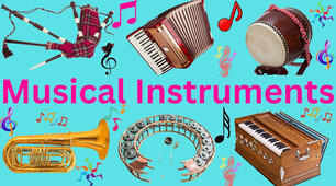 MUSICAL INSTRUMENTS