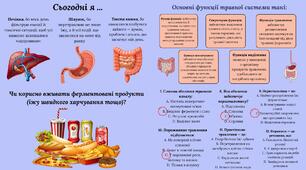 Будова та функції травної системи