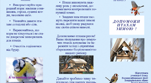 Агітаційна листівка "ДОПОМОЖИ ПТАХАМ ЗИМОЮ !"