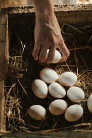 0900hsg0-11a4-182x274.png