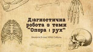 Діагностична робота з теми «Опора і рух» 8 клас Соболь