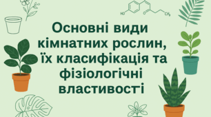 6 клас. STEM. Основні види кімнатних рослин, їх класифікація та фізіологічні властивості.