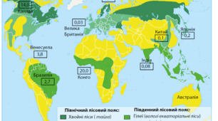 Лісове господарство у світі й в Україні