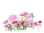 0900hwlt-9c82-145x109.png