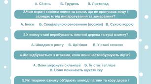Діагностична робота з ЯДС для 2 класу за темою «Природа взимку» Бібік (Підручник)