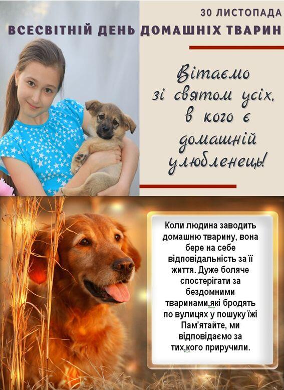 0900i0k6-b6d3-567x778.jpg