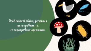 Особливості обміну речовин в автотрофних та гетеротрофних організмів.