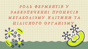 Роль ферментів у забезпеченні процесів метаболізму клітини та цілісного організму.