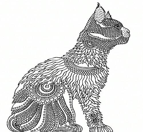 0900i2zx-d47d-500x463.jpg
