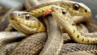 0900i4b3-a18b-144x82.png