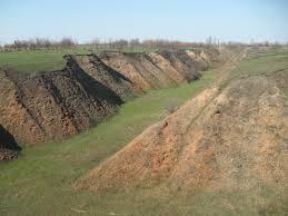 Яр — Вікіпедія
