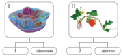 0900i5mr-1d60-180x82.png