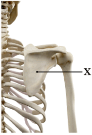 0900i5u3-f82d-189x277.png