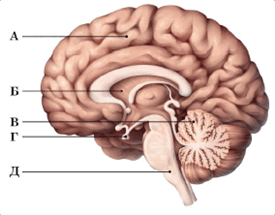 0900i6d4-b679-275x215.png
