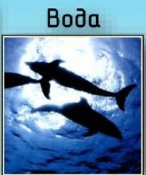 0900i70a-1cc5-205x246.png