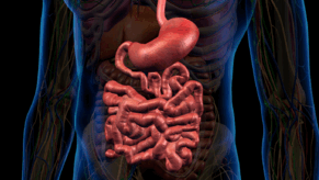 0900icjj-7e13-291x164.png