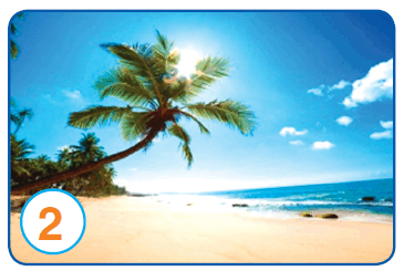 0900icnw-7f0d-365x245.png
