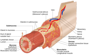 0900ics5-fbb2-313x193.png