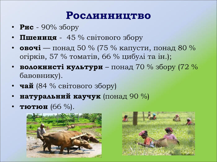 0900idew-8667-700x525.jpg
