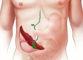 0900iei8-cc02-279x203.png