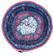 0900iekb-8997-173x185.png
