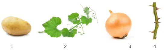 0900ielb-db5d-543x178.png