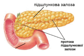 0900ieou-587b-283x191.png